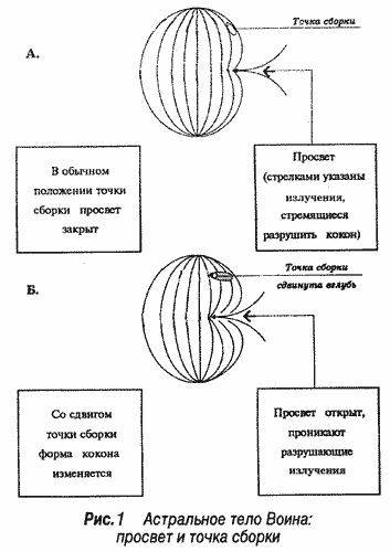 Астральное тело воина